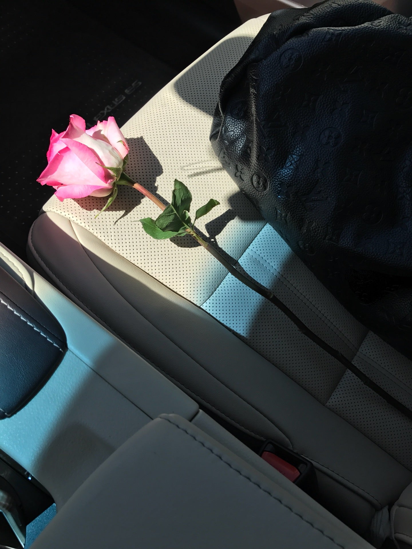 Stric, 1888 Nacogdoches Rd, San Antonio, TX MapQuest