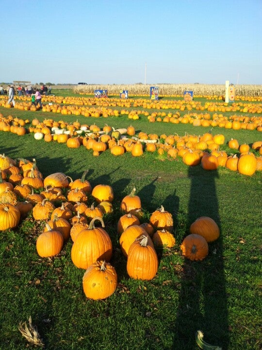 Best Pumpkin Patch in Newburg, Illinois MapQuest