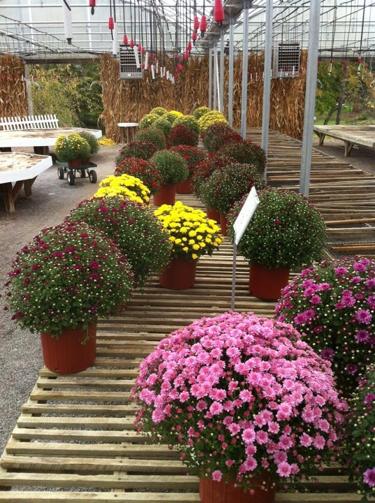 Wurth Farms, 1720 S Friendship Rd, Paducah, KY, Food Products Retail