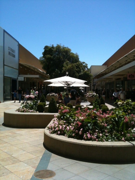 Garden Of Everything: Stanford Shopping Center