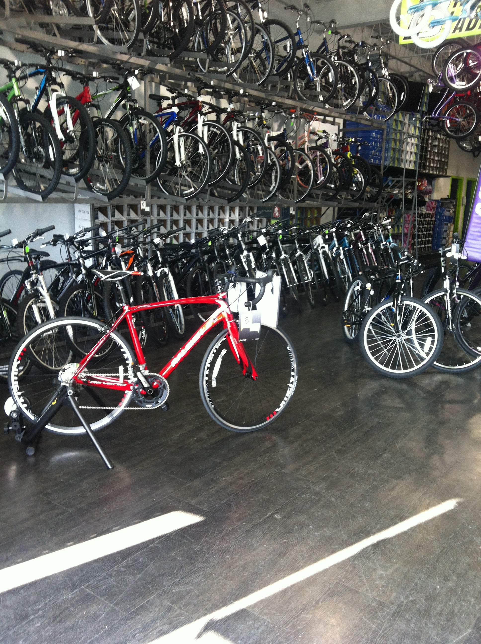 Little ades bicycle discount shop