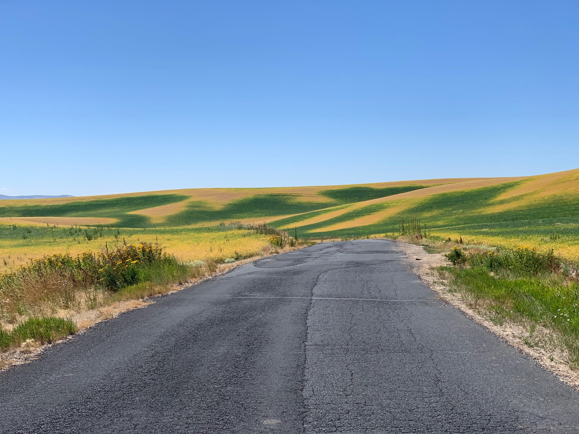 Steptoe Butte State Park, Milepost 72 Hume Road, Colfax, WA, Parks