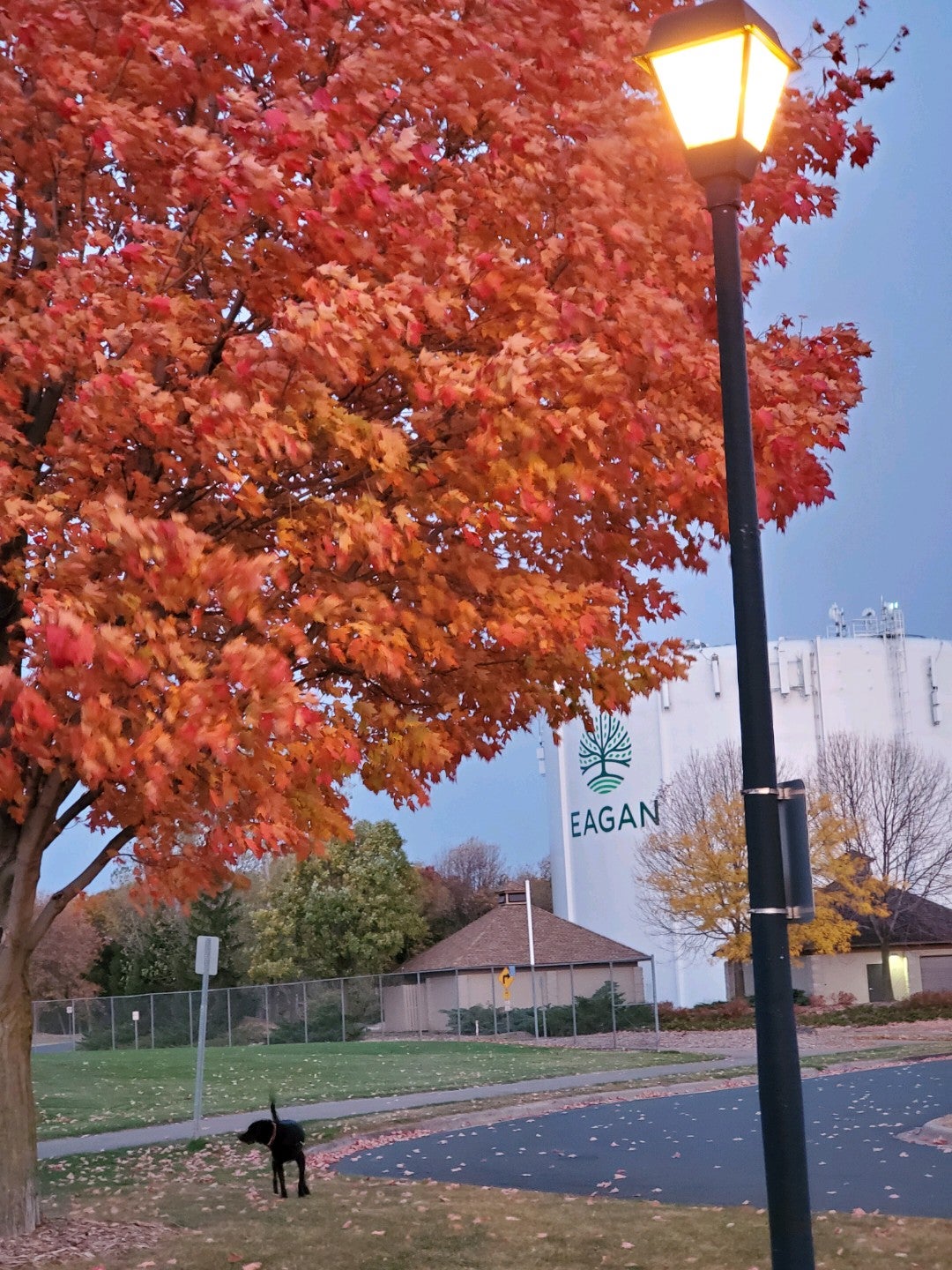 lexington-diffley-athletic-fields-4201-lexington-avenue-eagan-mn