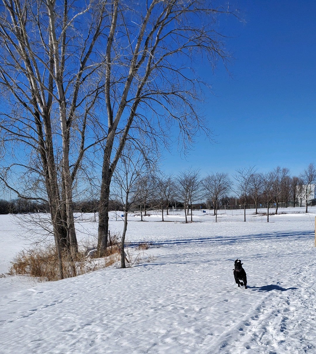 Lexington Diffley Athletic Fields 4201 Lexington Avenue Eagan MN