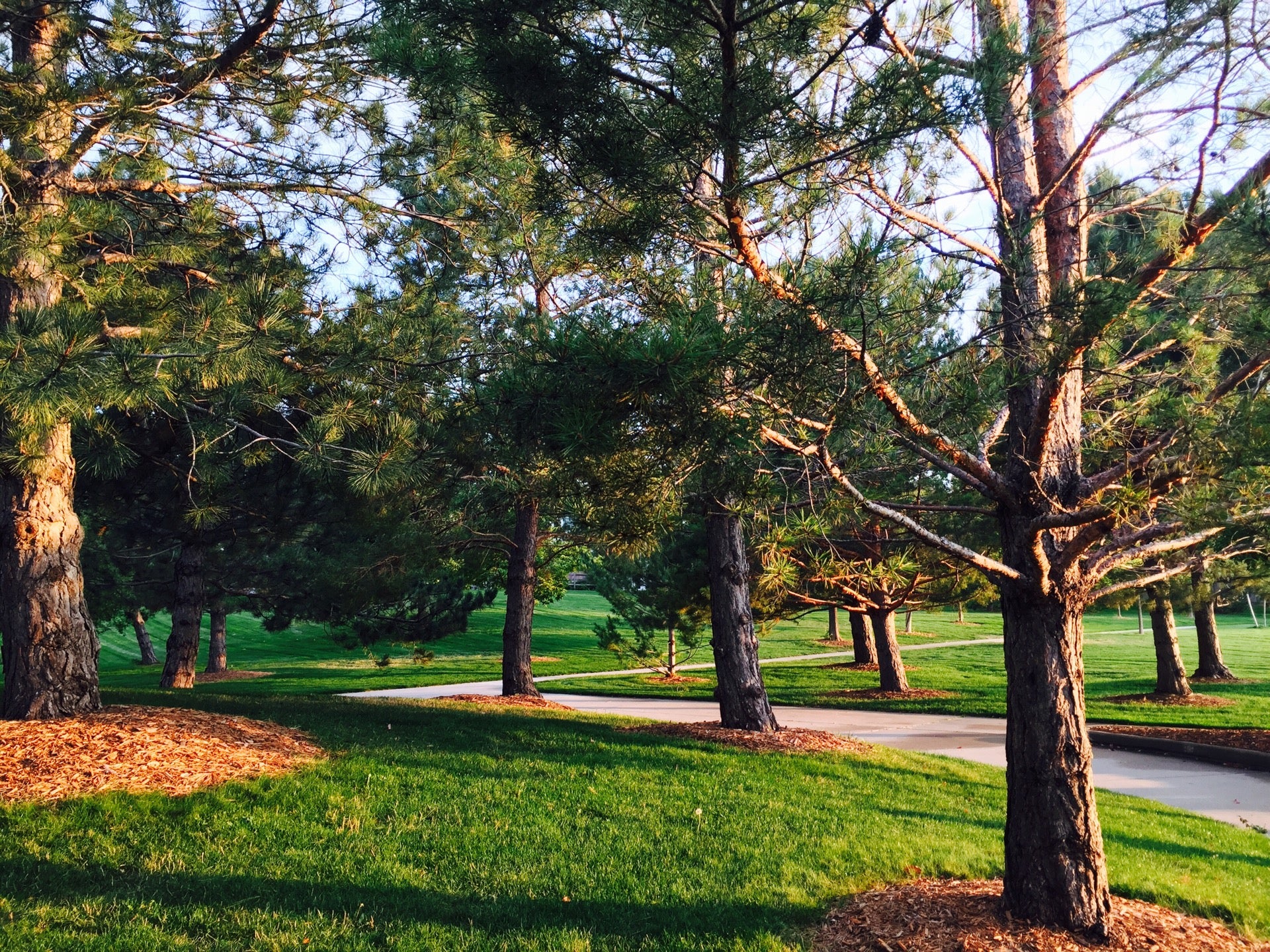 Tommy Davis Park Loop, Colorado - 137 Reviews, Map