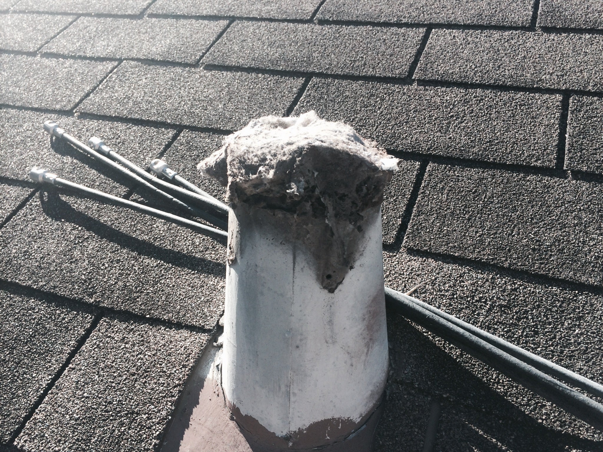 Atx Dryer Vent Cleaning, 1016 W Stassney Ln, Austin, TX, Services NEC