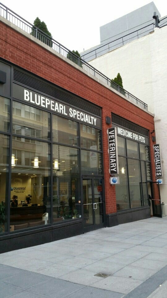 blue pearl vet brooklyn