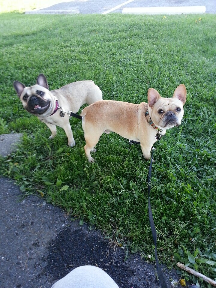 Coplay, PA Map & Directions MapQuest