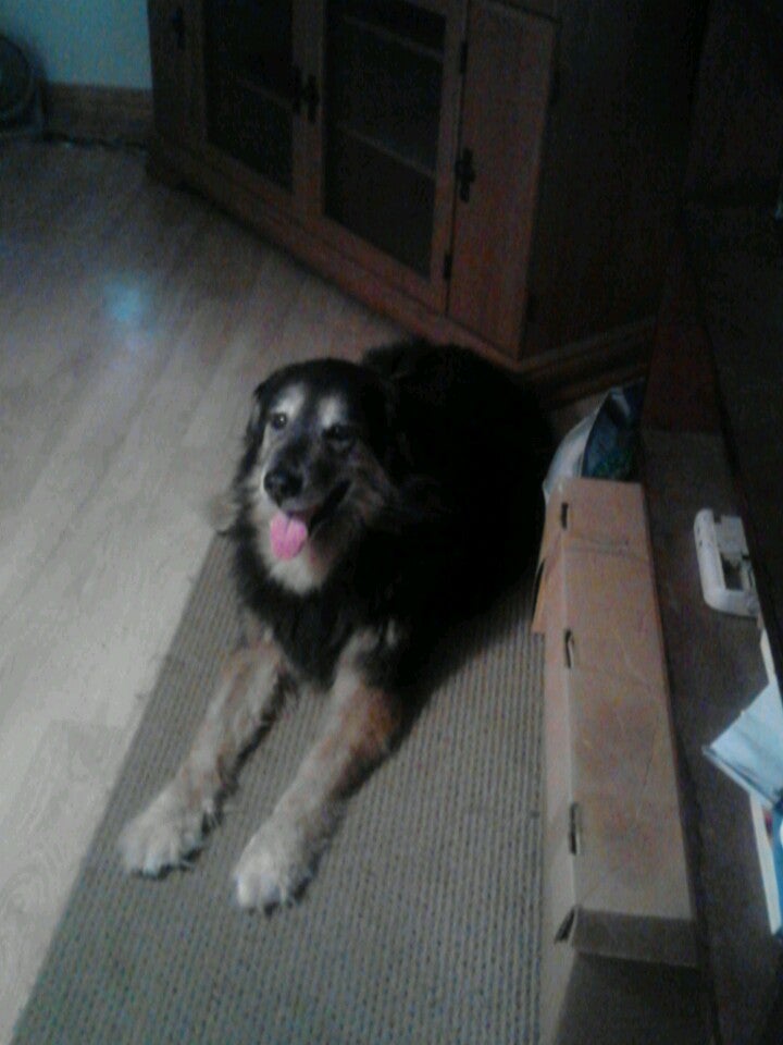 Palmer Town, MA Map & Directions MapQuest