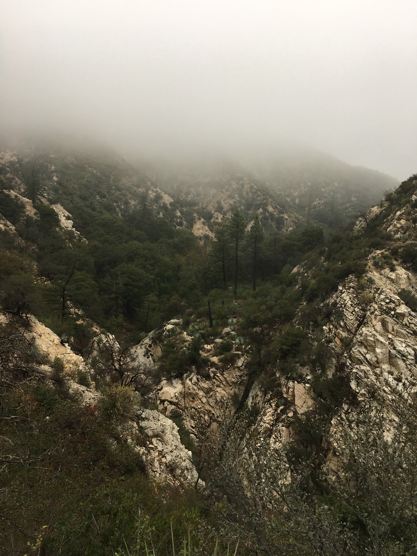 Switzer Canyon Falls Trailhead, Switzer PG, Mt Wilson, CA, Outdoor