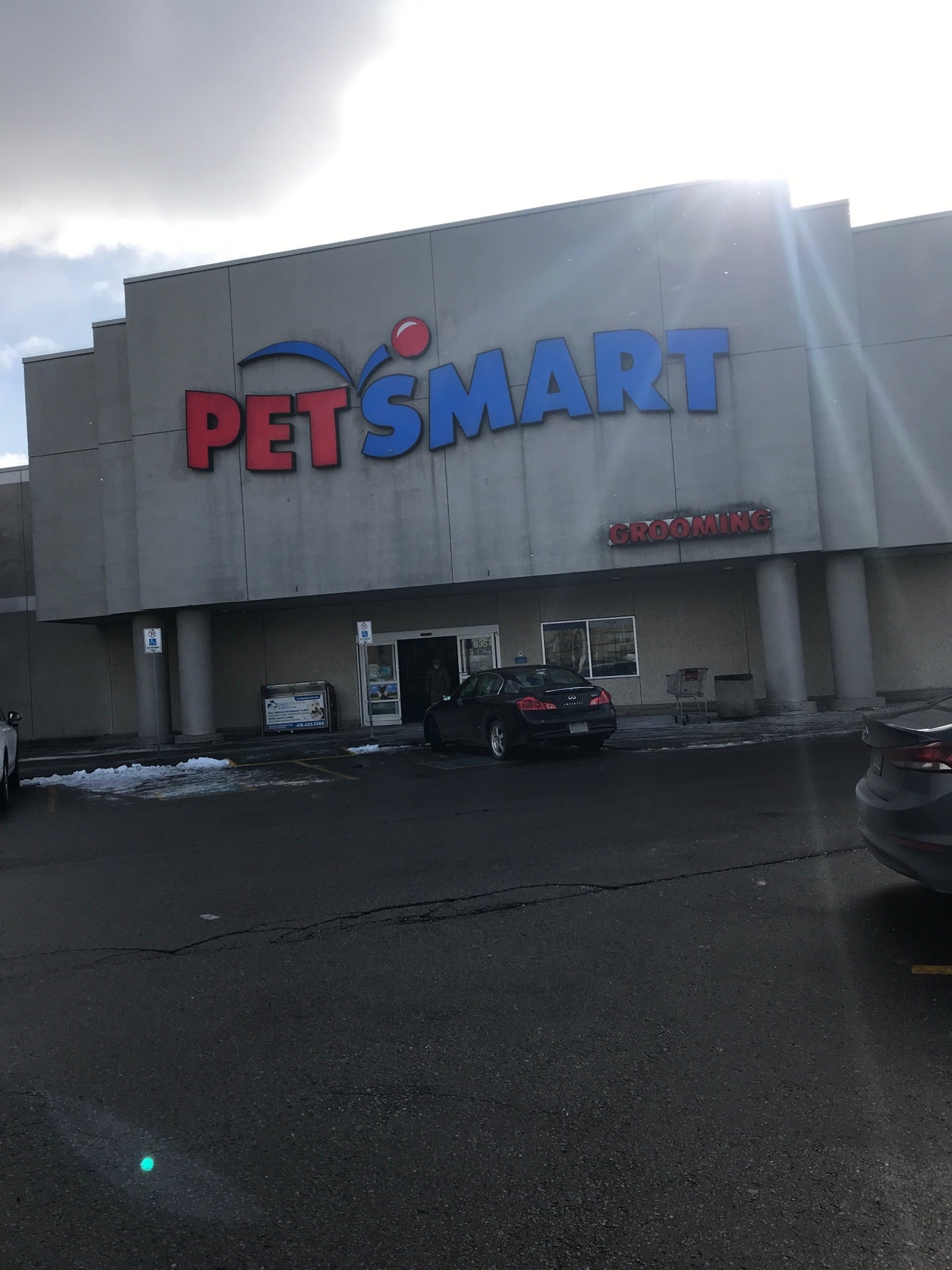 Petsmart eglinton cheap