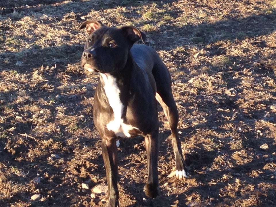 Morrisville, PA Map & Directions MapQuest