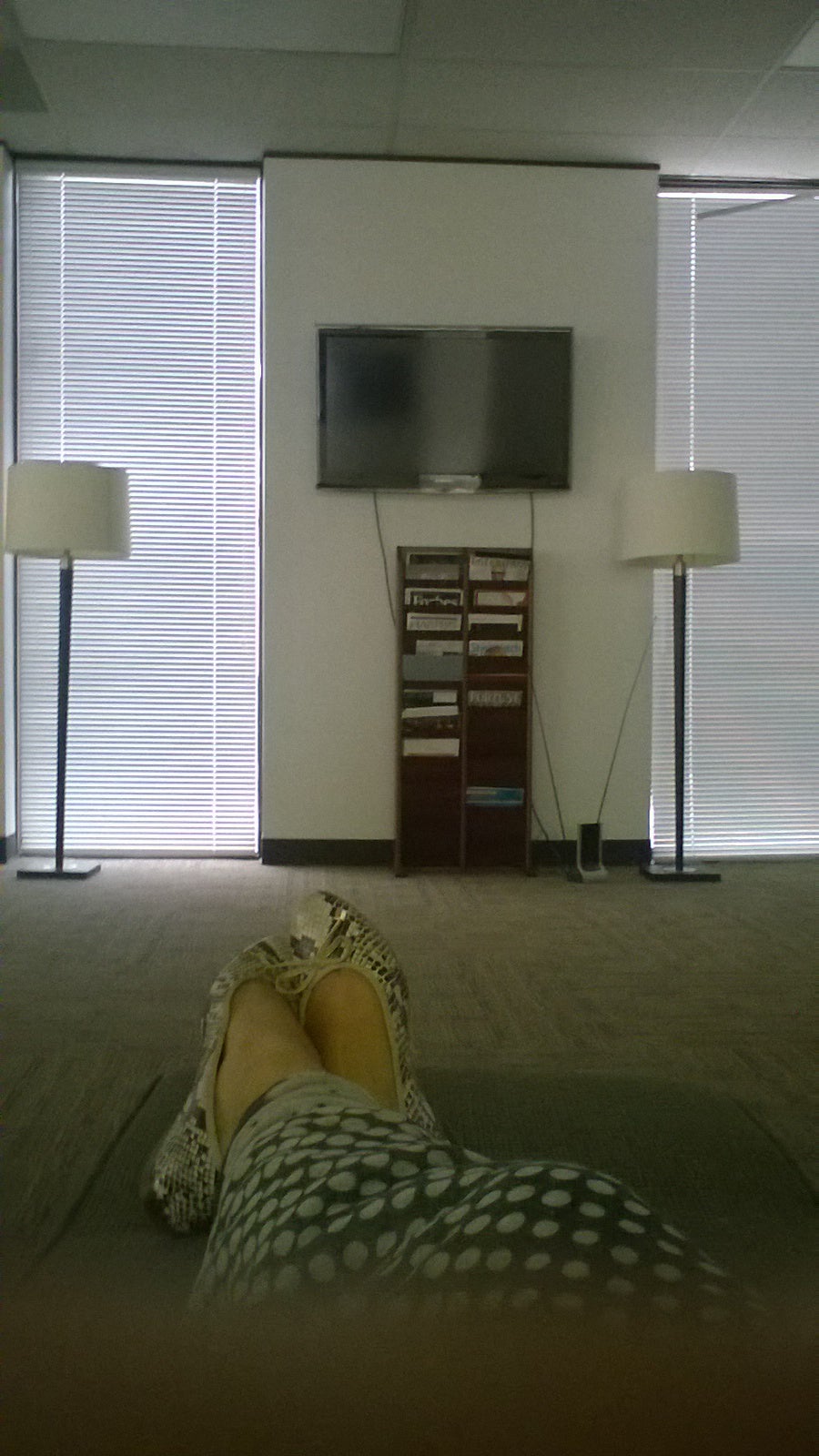 Strachan Shipping Company, 10050 Northwest Fwy, Houston, TX, Services