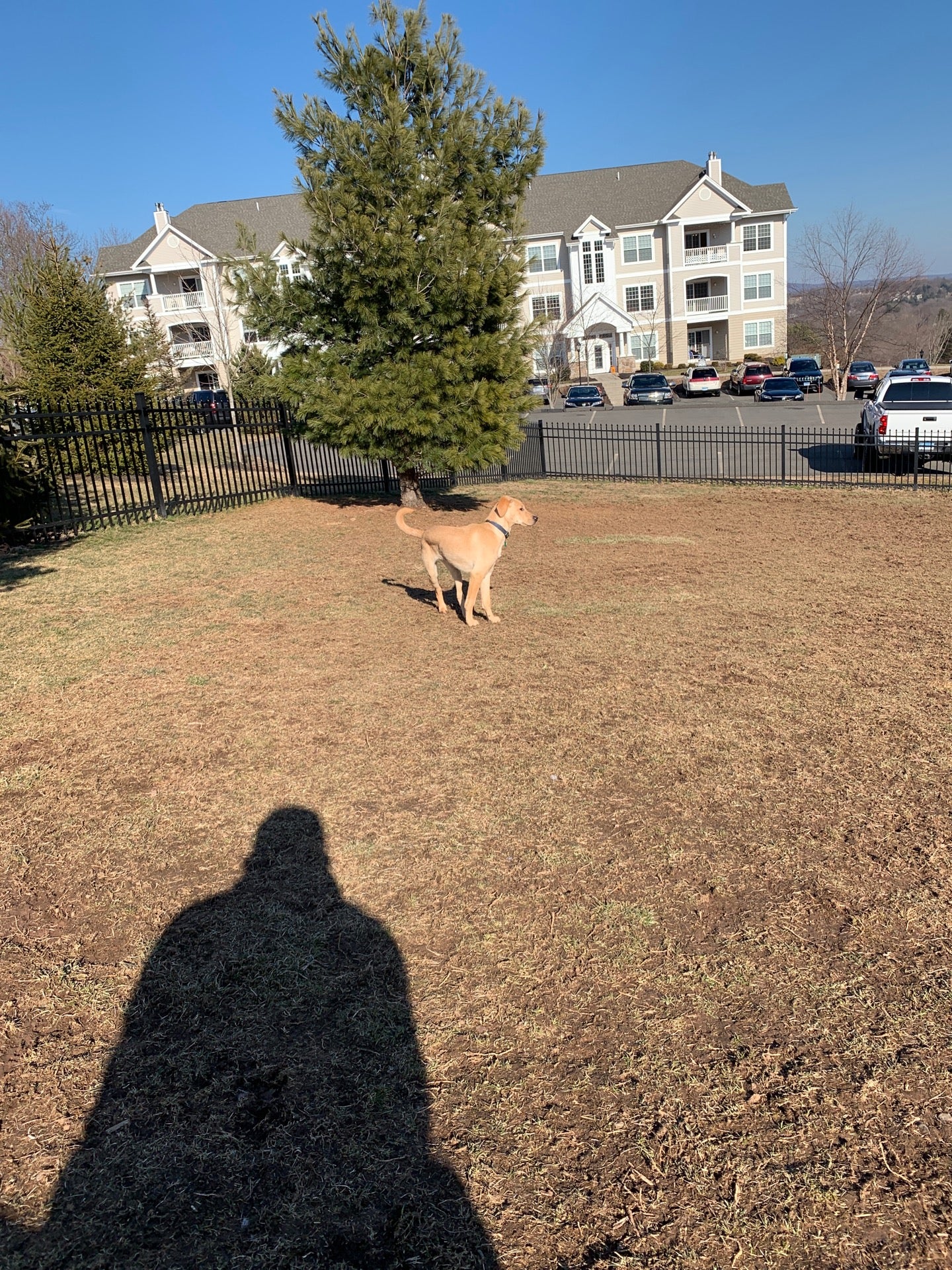 Knoll Crest, 207 St, Middletown, CT MapQuest