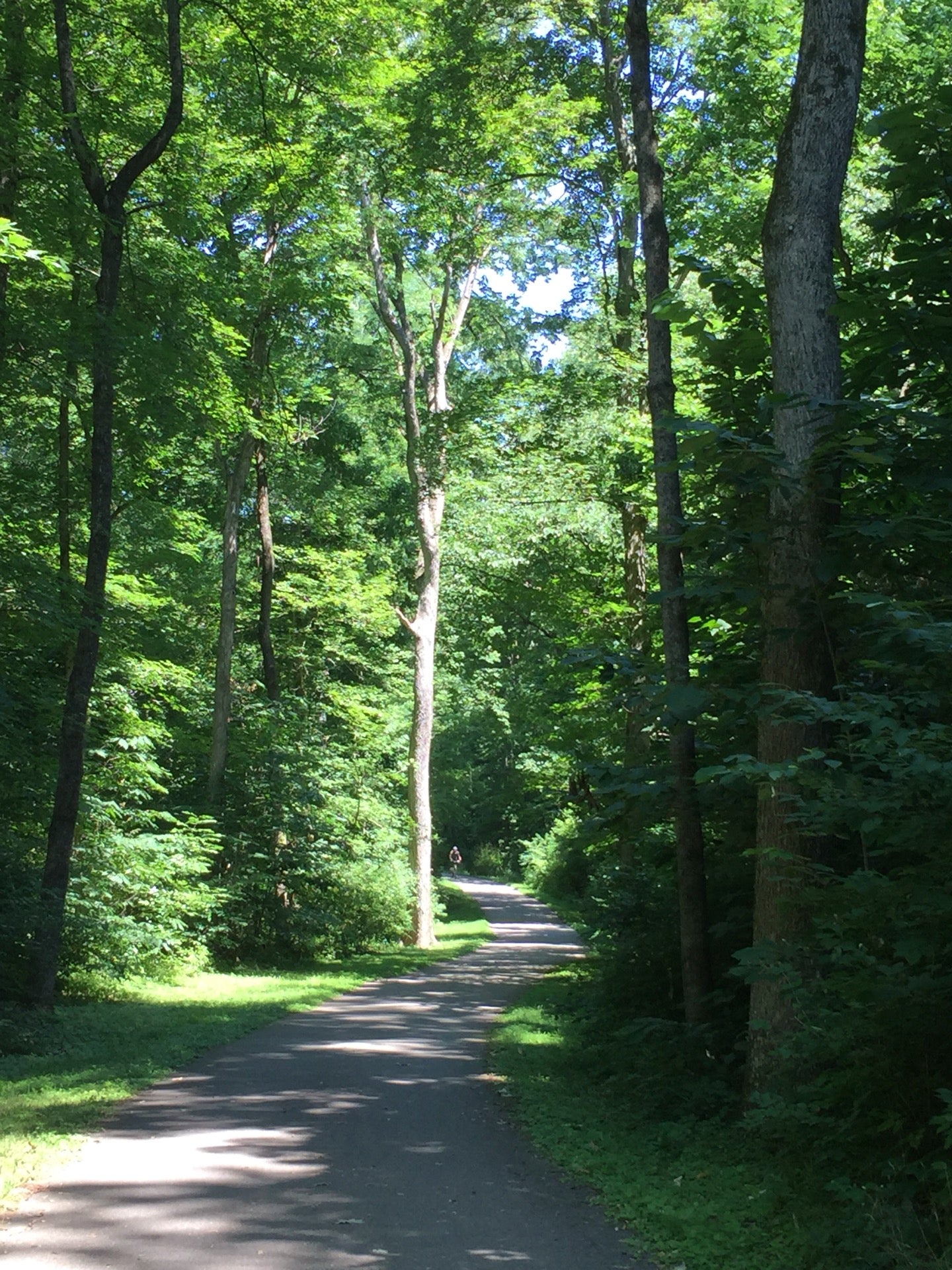 Katy Trail State Park - Busch Greenway Trailhead, 9 Research Park Dr ...