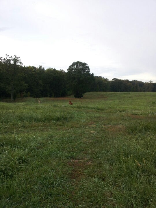 Meadowood Special Management Recreation Area, 10406 Gunston Rd Lower