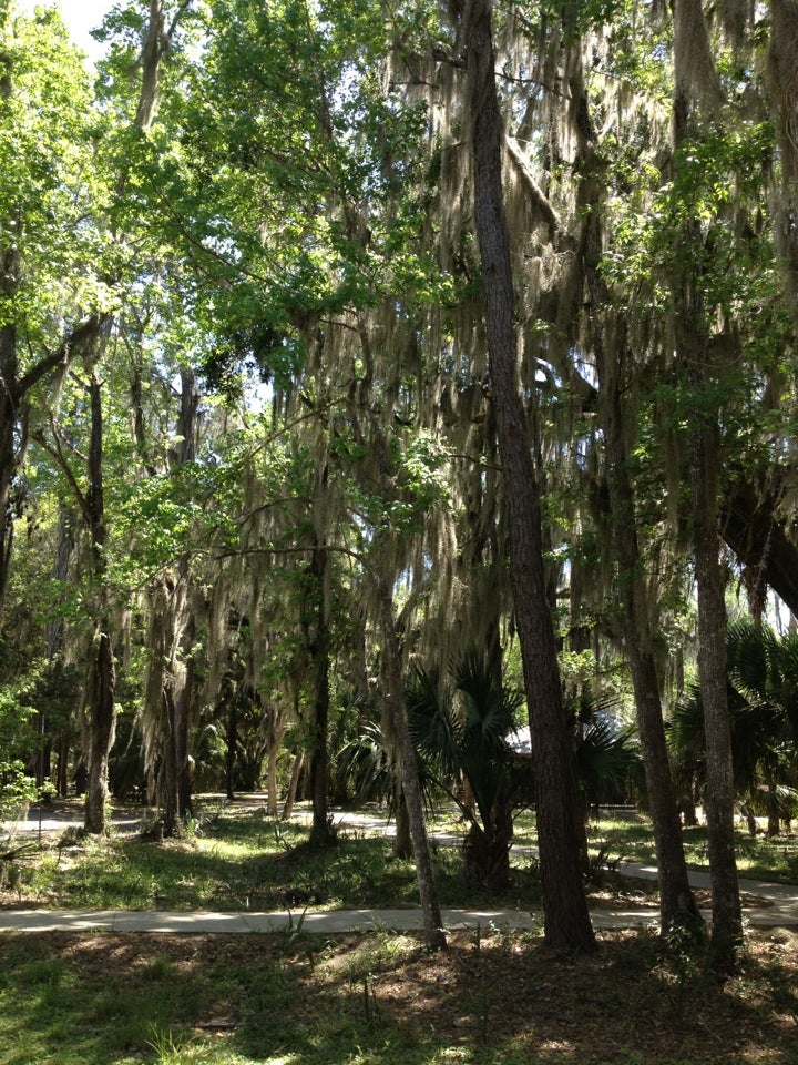 Paynes Prairie Preserve State Park, 100 Savannah Blvd, Micanopy, FL ...