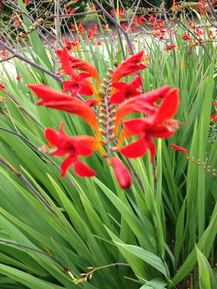 Eolia the Mansion at Harkness State Park, 275 Great Neck Rd