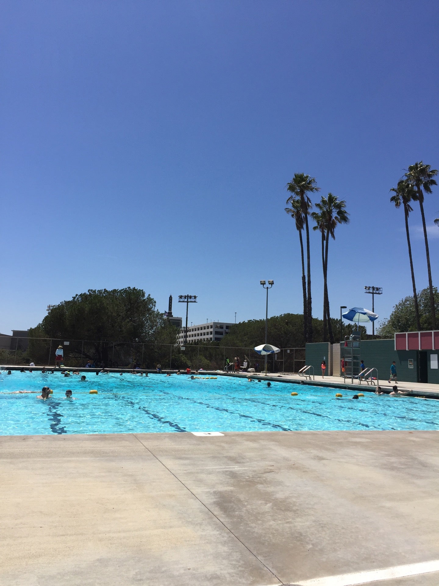 Pan Pacific Park Pool, S Gardner St, Los Angeles, CA, Organizations