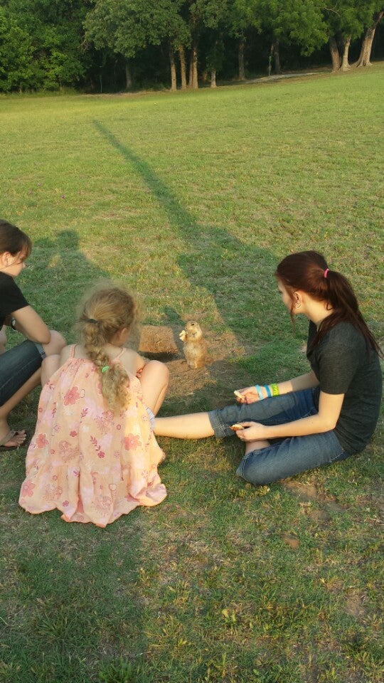 Azle, TX Map & Directions MapQuest