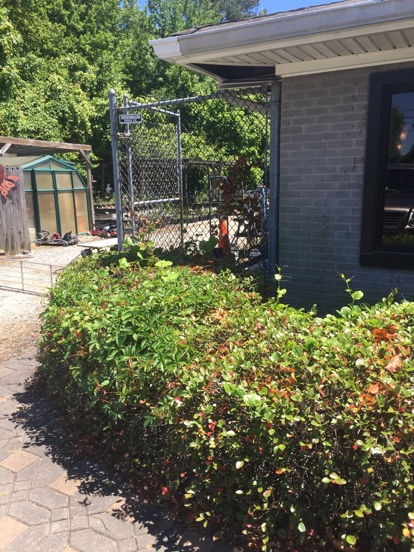 Hampton Roads Water Garden Fasci Garden