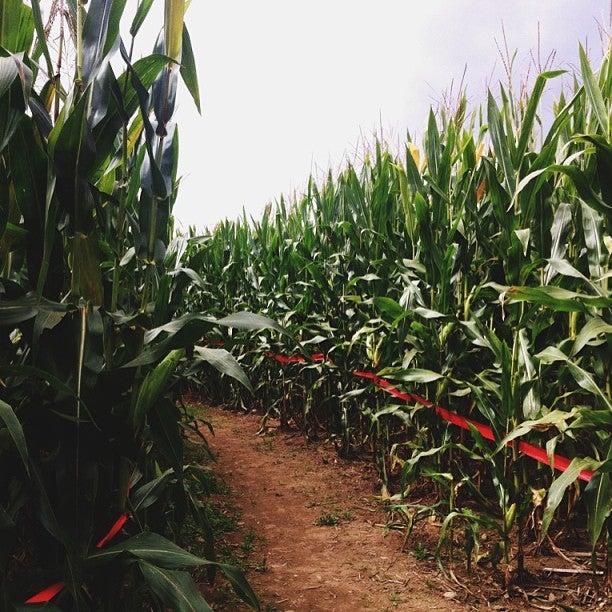 North Grosvenor Dale, CT Map & Directions MapQuest