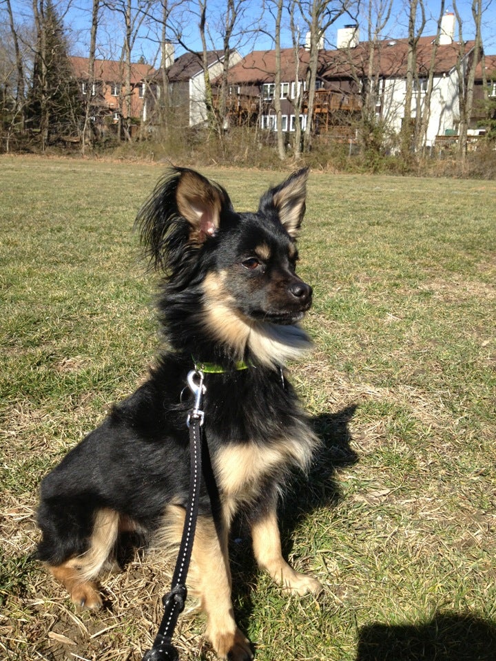 Moorestown Township, NJ Map & Directions MapQuest