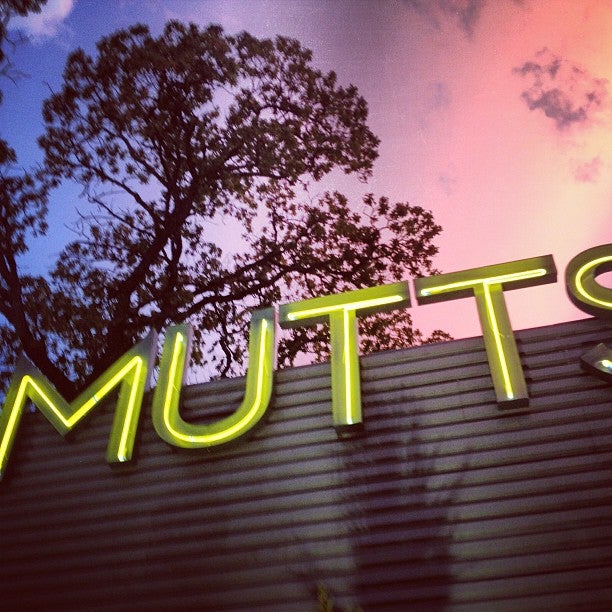 MUTTS Canine Cantina® Dallas, 2889 Cityplace W Blvd, Dallas, TX, Bars