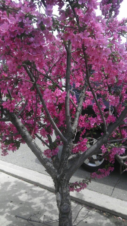 Menards, 7330 74th Pl, Kenosha, Wisconsin, Hardware Stores MapQuest