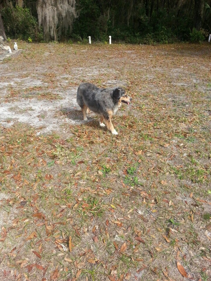 Zellwood UMC Conquest Cemetery, Yothers Rd, Apopka, FL MapQuest
