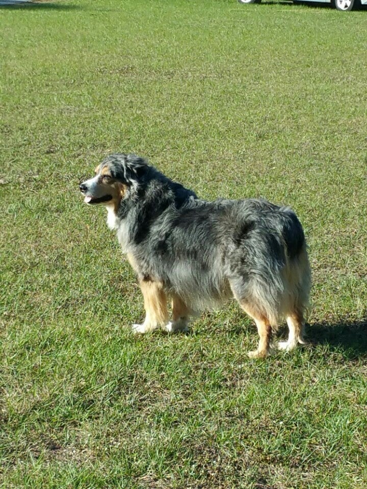 Zellwood UMC Conquest Cemetery, Yothers Rd, Apopka, FL MapQuest
