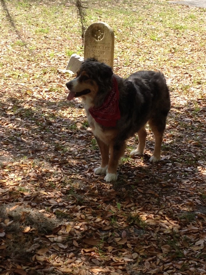 Zellwood UMC Conquest Cemetery, Yothers Rd, Apopka, FL MapQuest