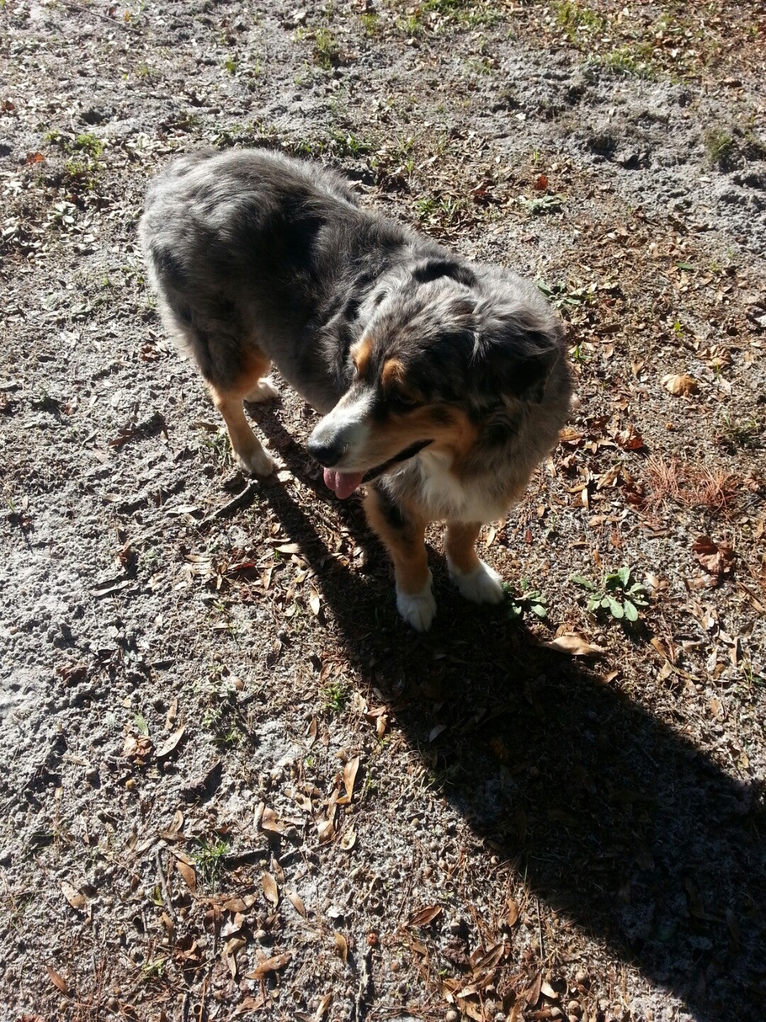 Zellwood UMC Conquest Cemetery, Yothers Rd, Apopka, FL MapQuest