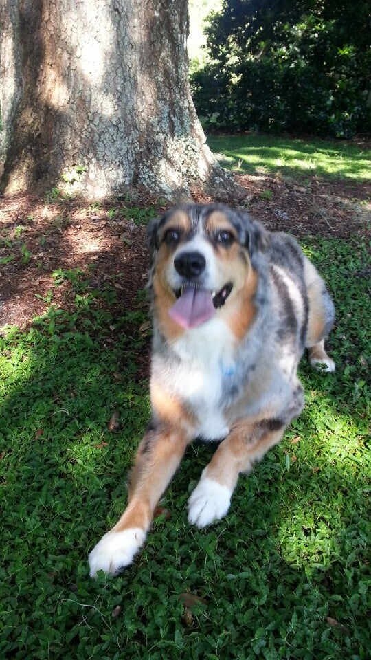 Zellwood UMC Conquest Cemetery, Yothers Rd, Apopka, FL MapQuest