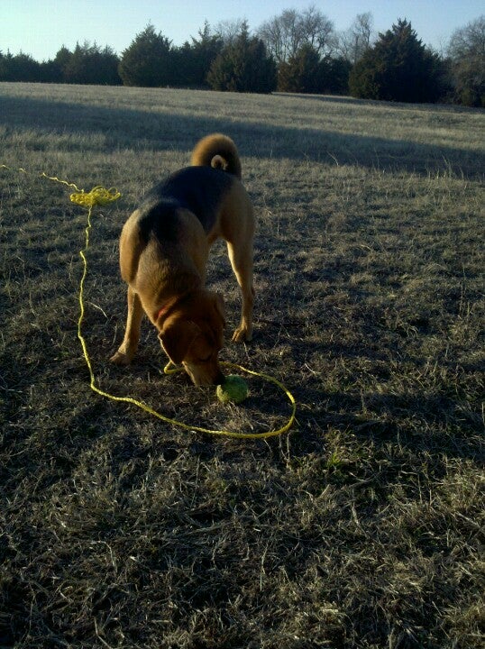 Princeton, TX Map & Directions MapQuest