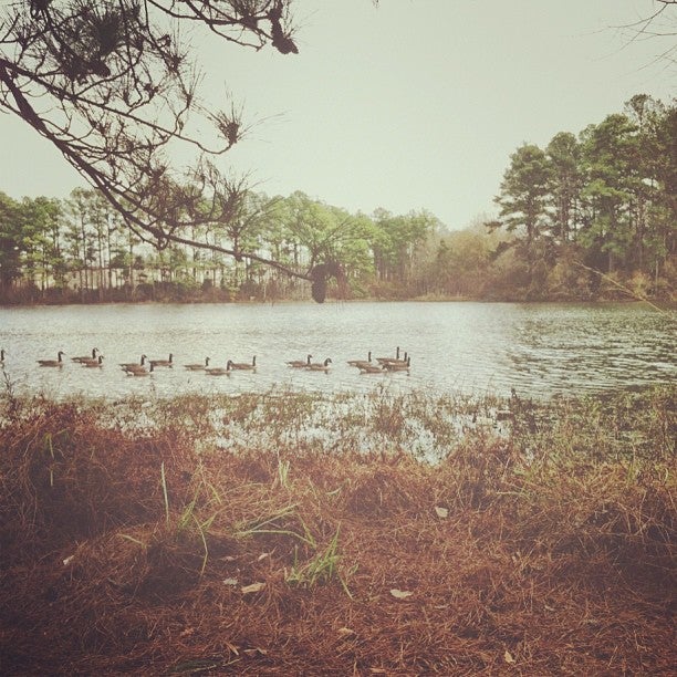 Wilson Park, Butner Rd, Fayetteville, NC MapQuest