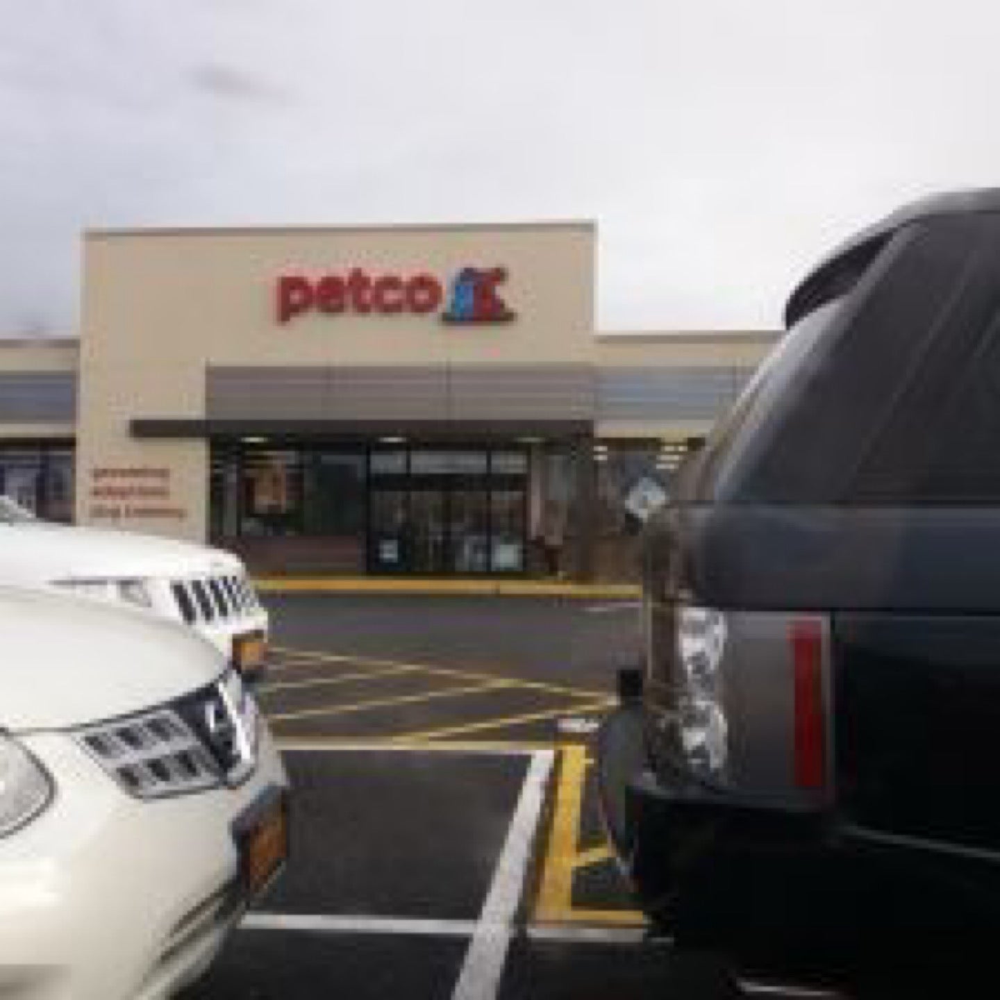 Petco near sales me bronx