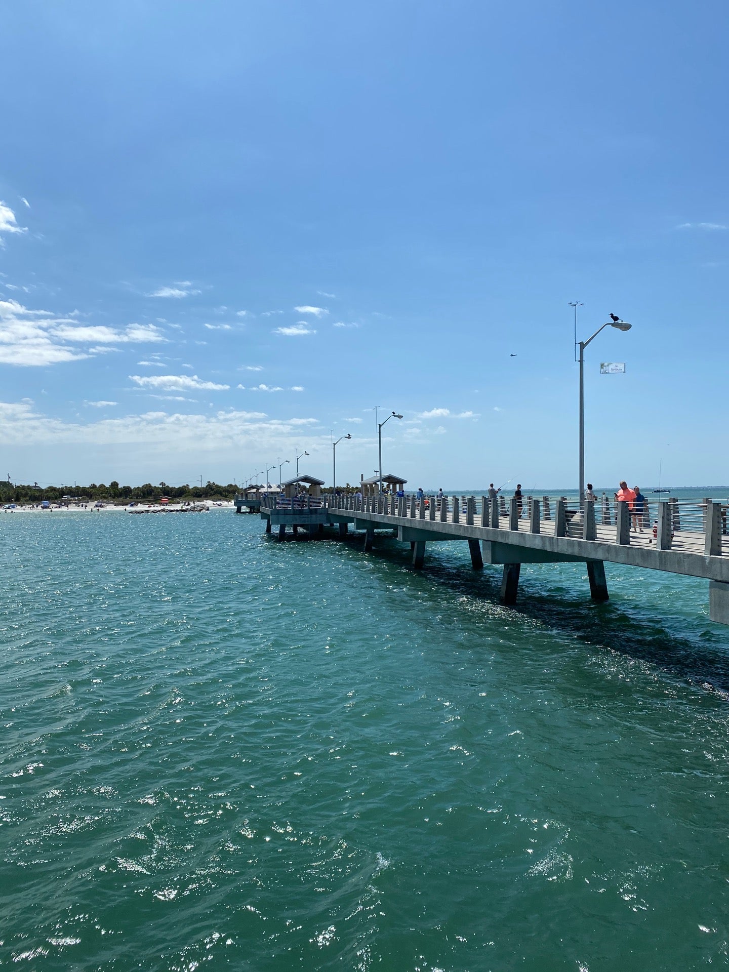 Fort Desoto Pier fishing +TEMU Marketplace Review 