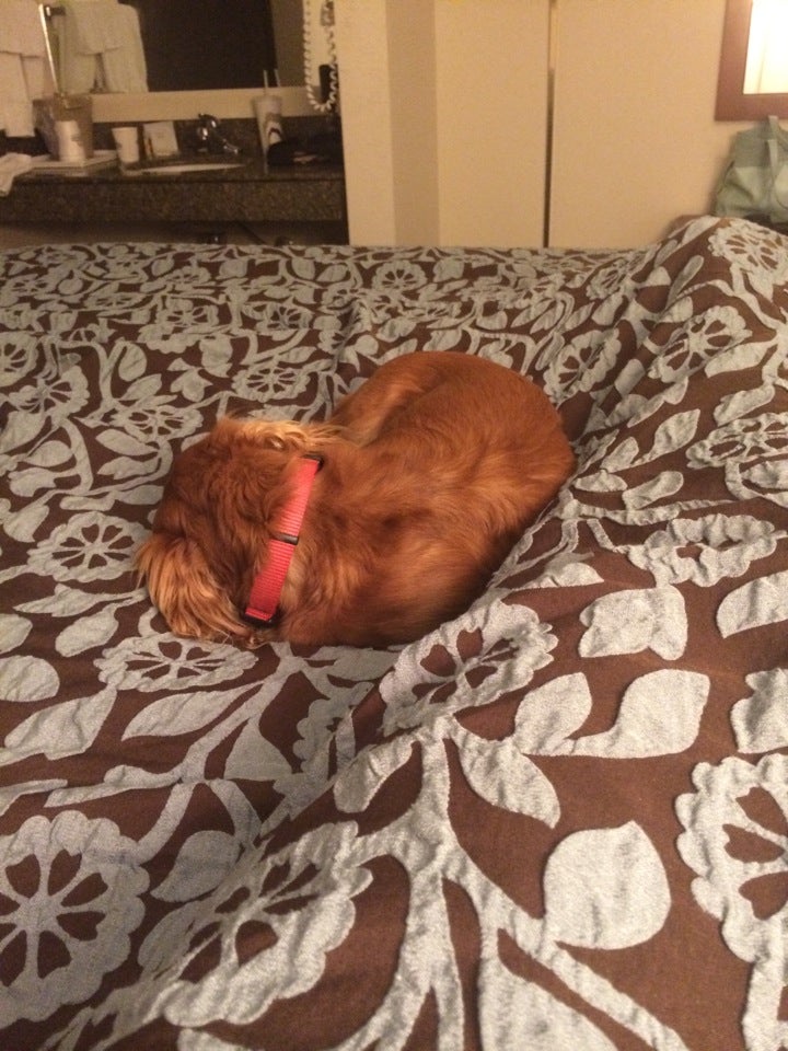 Brinkley, AR Map & Directions MapQuest