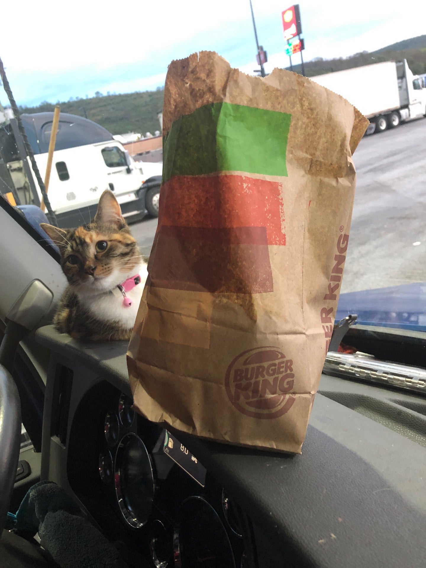 Max Meadows, VA Map & Directions MapQuest