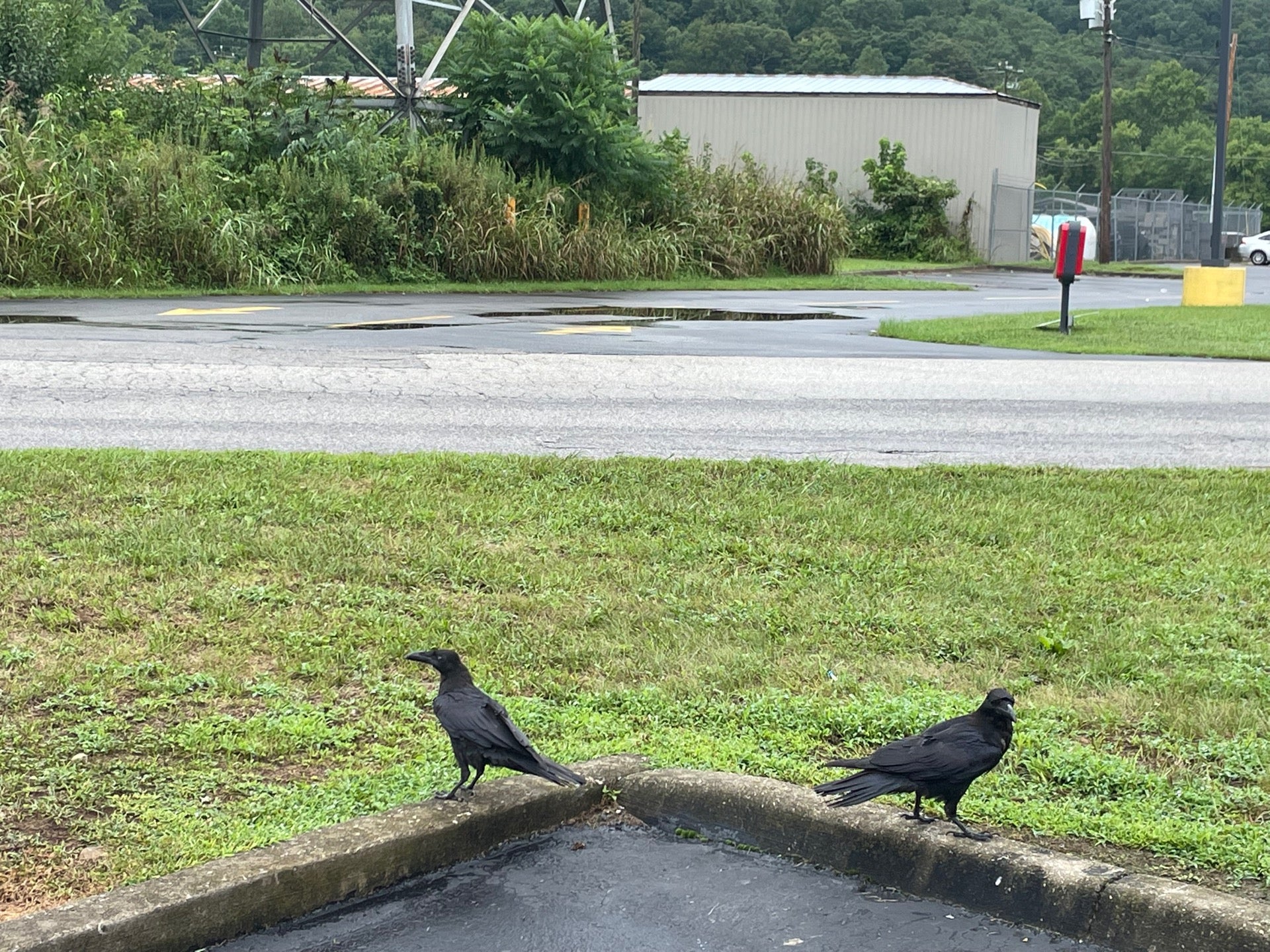 Wayne, WV Map & Directions MapQuest