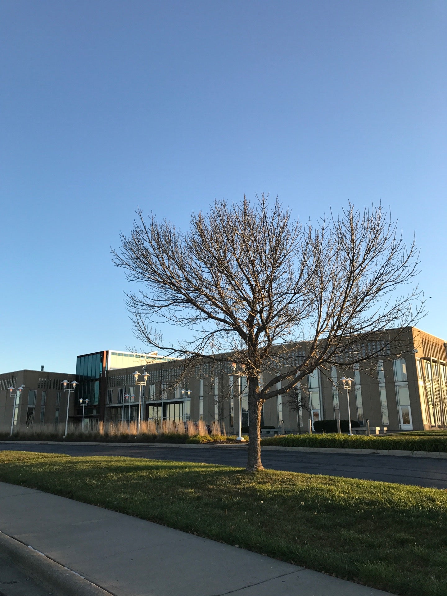 Quest Diagnostics, 10101 Renner Blvd, Lenexa, KS, Health Services