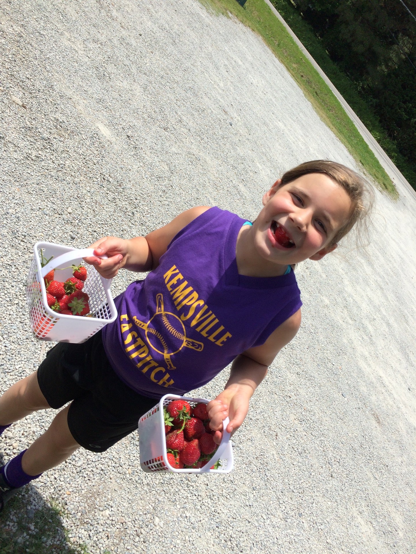 Vaughan Farms' Produce, 1258 Princess Anne Rd, Virginia Beach, VA