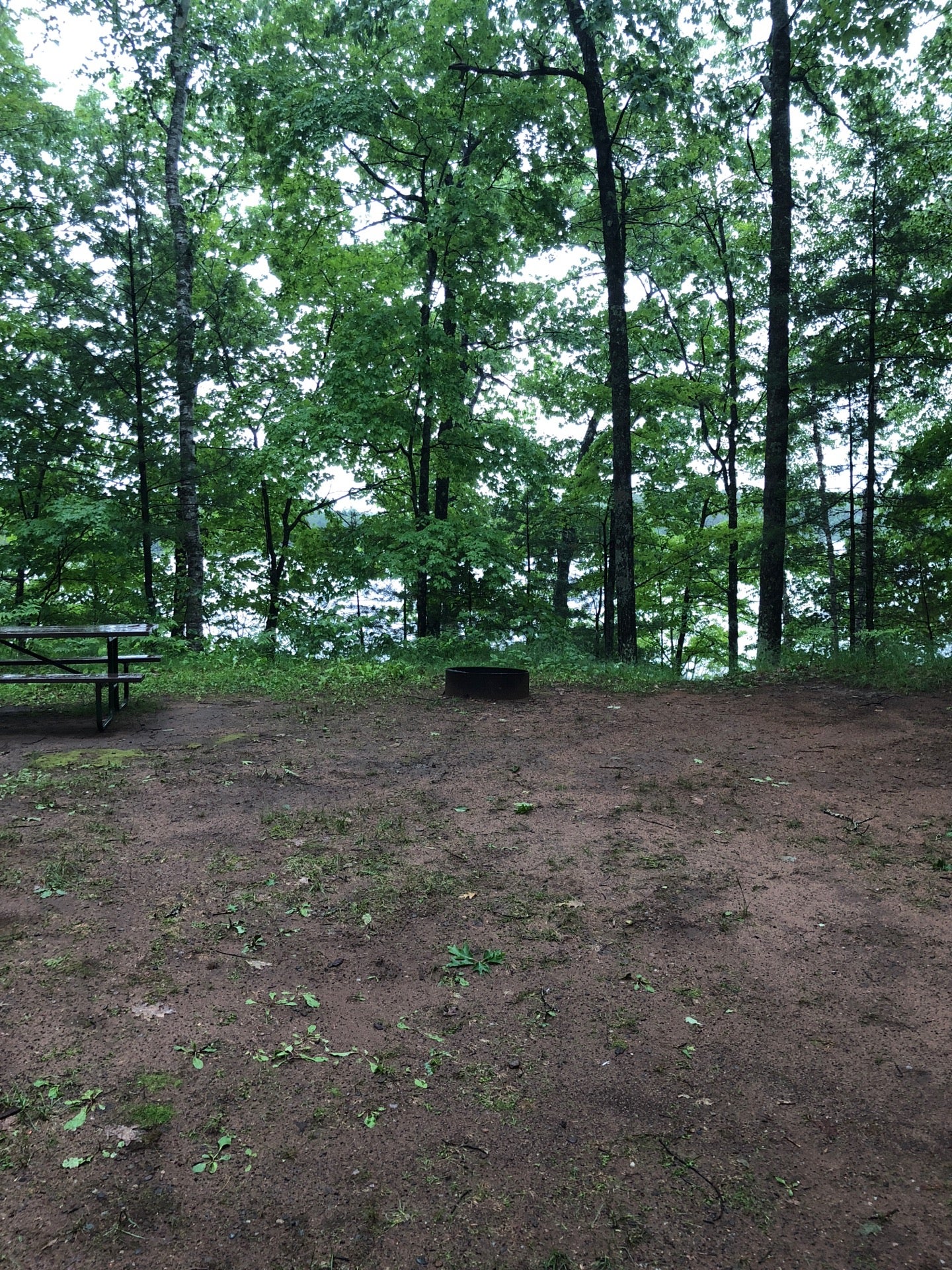 Northern Highland American Legion State Forest North Trout Lake
