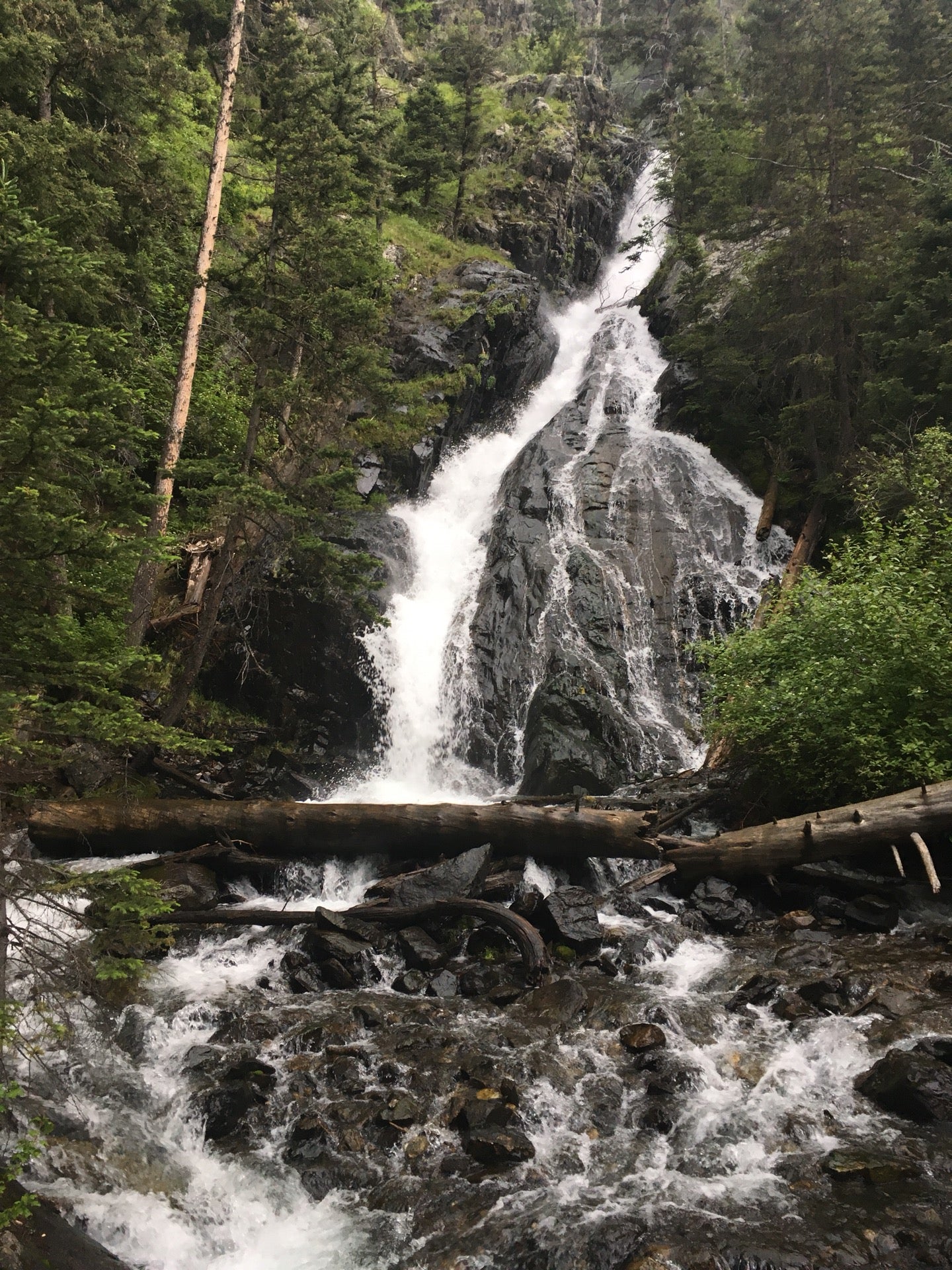 Pine Creek Trail, Pine Creek Campground N Loop FS Rd, Livingston, MT ...