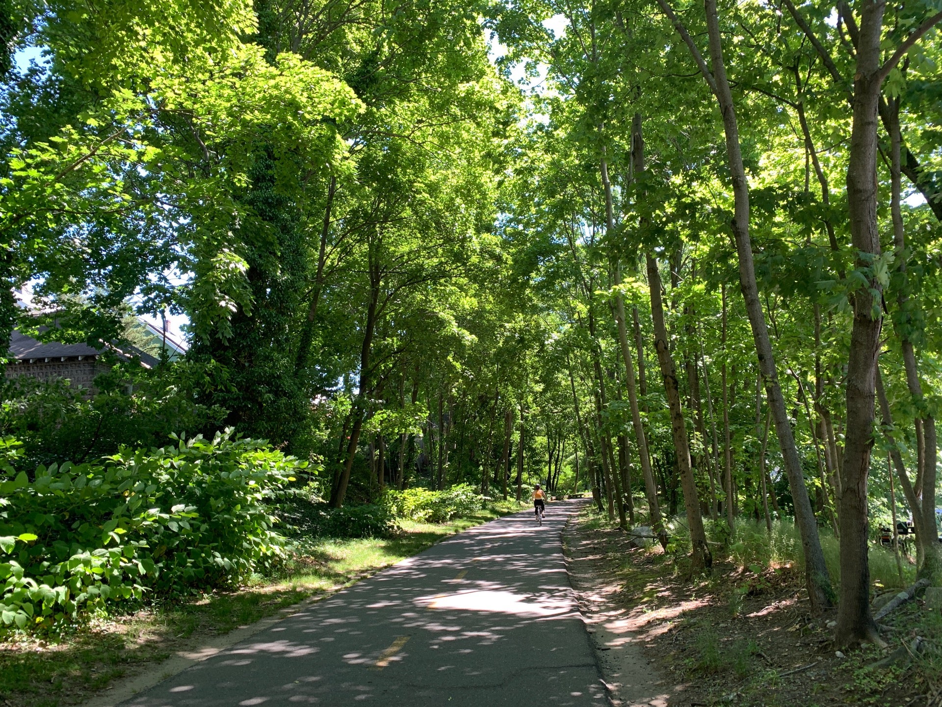 minuteman bikeway extension