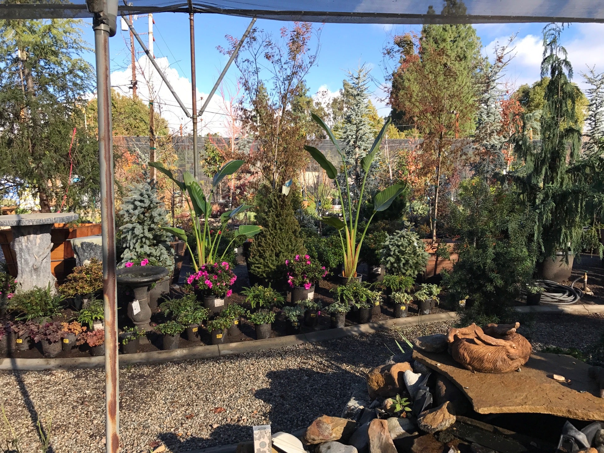 Rainbow Garden Nursery, Glendora, CA, Gardens MapQuest