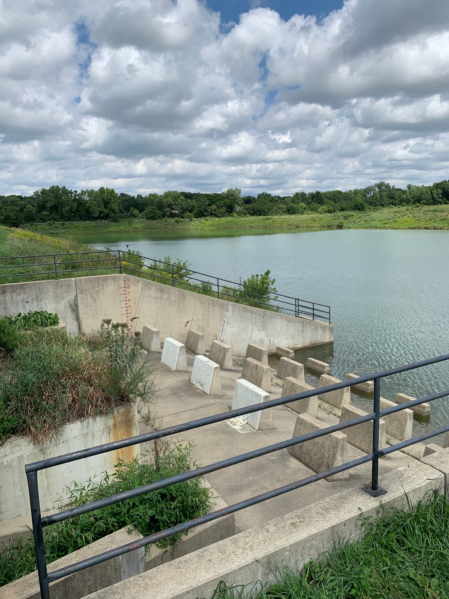 Meacham Grove Forest Preserve, Circle Ave, Bloomingdale, IL MapQuest