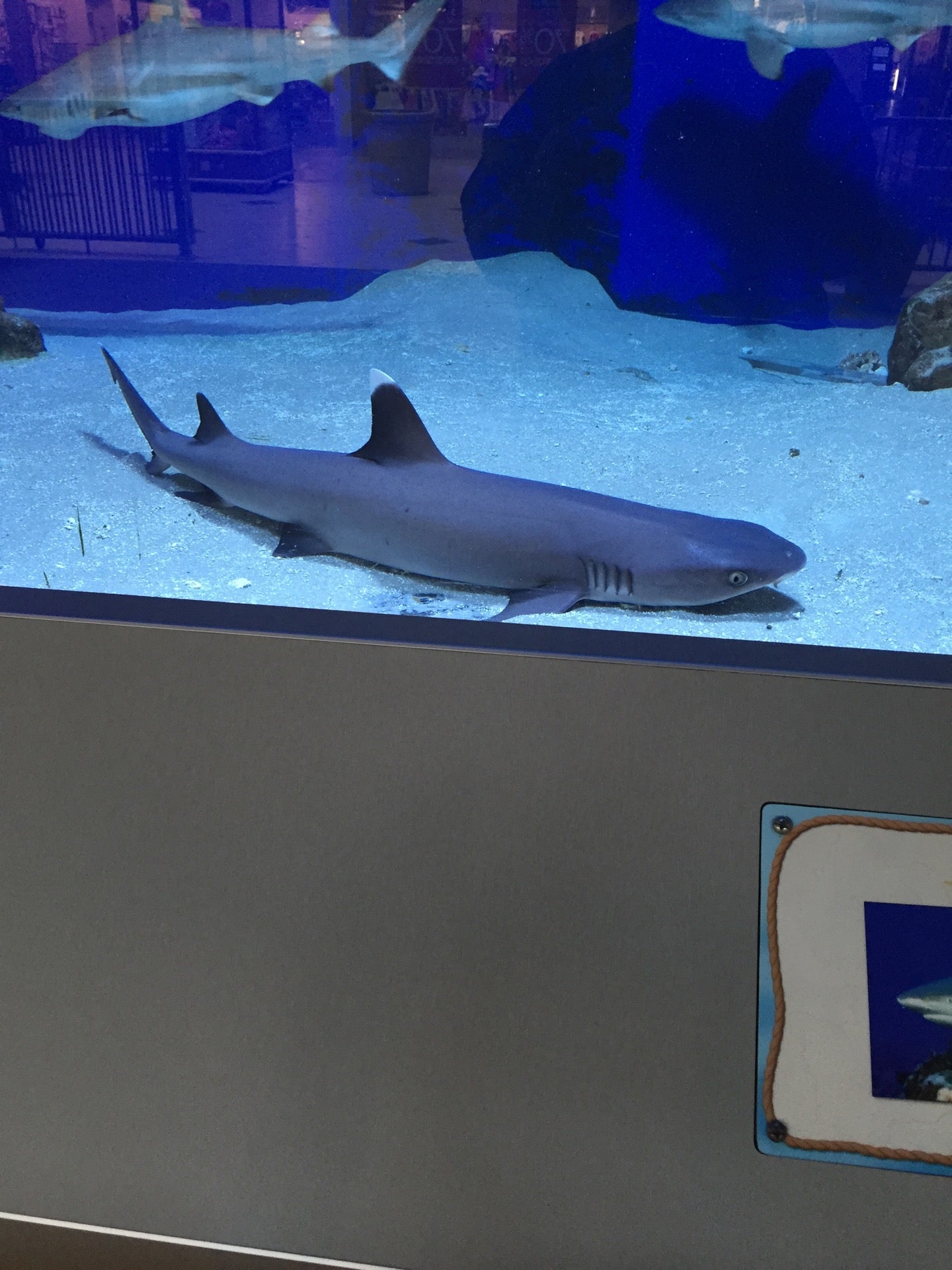 Eastwood Mall, 5555 Youngstown Warren Rd, Niles, OH, Retail Shops