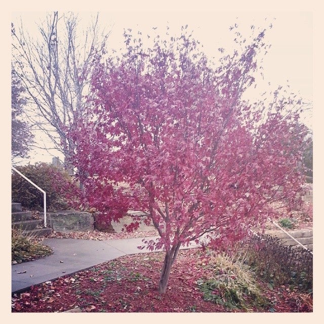 Sigourney, IA Map & Directions MapQuest